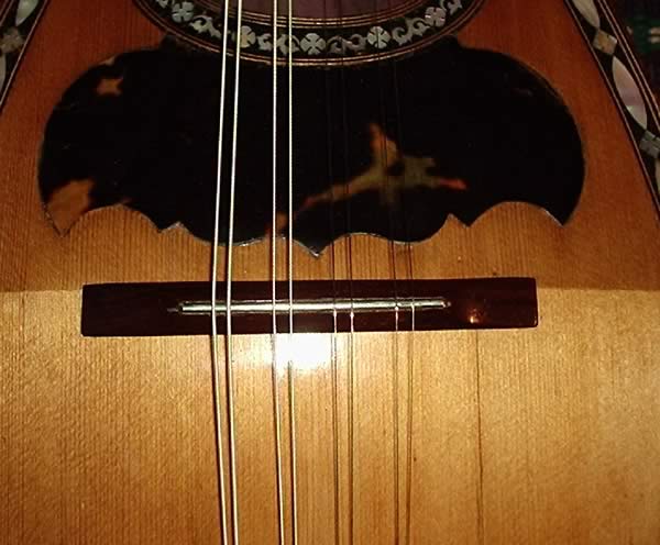 Ant. Monzino (mandolina) Milano - Italy - 1900 aprox 